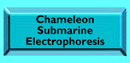 Chamoleon Gel
