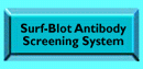 Surf Blot